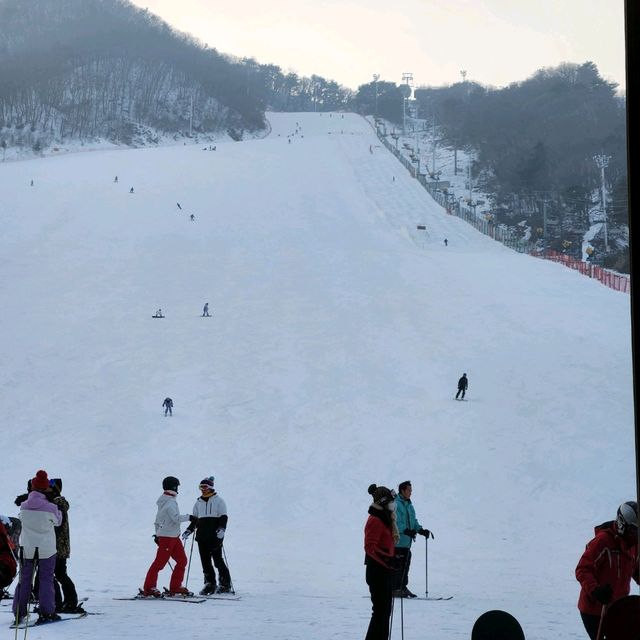 지산리조트. 서울근교.스키장