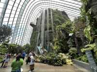 Avatar the Experience at Cloud Forest