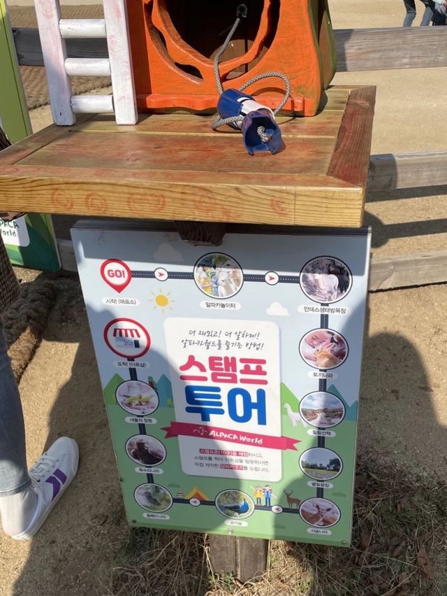 홍천 1박 2일 여행 ‘까미노데플로레스타‘&알파카월드&달구새끼