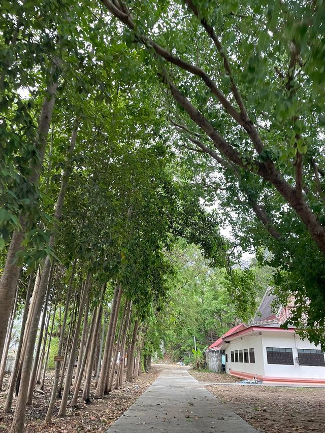 วัดผารังหมีวนาราม (ถ้ำพระนอน)