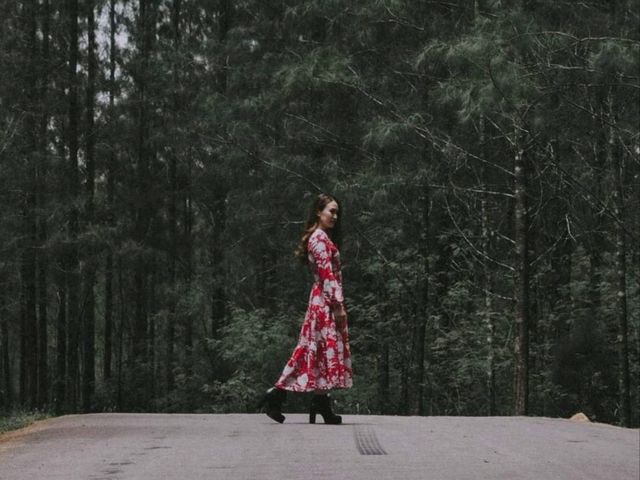 ป่าสน ทับสะแก จ.ประจวบคีรีขันธ์