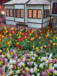 Tulipmania Day 2023