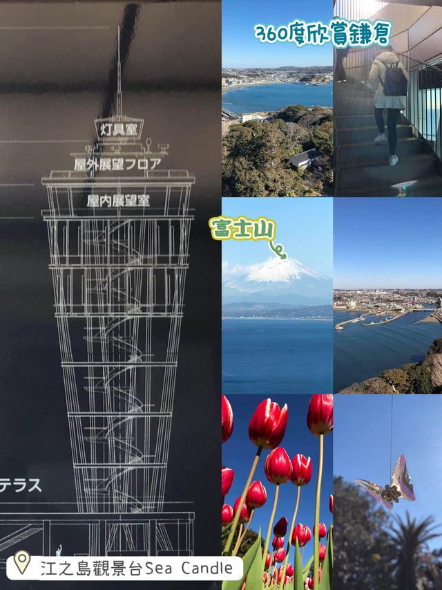江之島觀景台Sea Candle‼️360度欣賞鎌倉之美🤩近距離直望富士山🗻