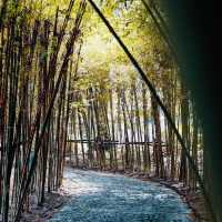 Selangor-Japan Friendship Garden Shah Alam