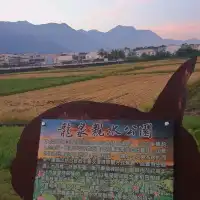 荷花漫漫【龍泉親水生態生態親水公園】