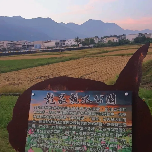 荷花漫漫【龍泉親水生態生態親水公園】
