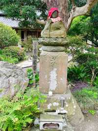 【神奈川県/極楽寺】風情ある山門に導かれる寺院