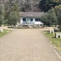 代々木公園