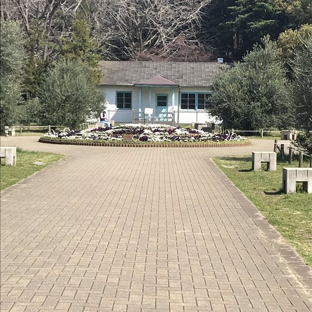 代々木公園