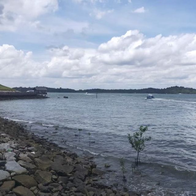 🎉 樟宜木板路 🌊 海濱步道 🏖
