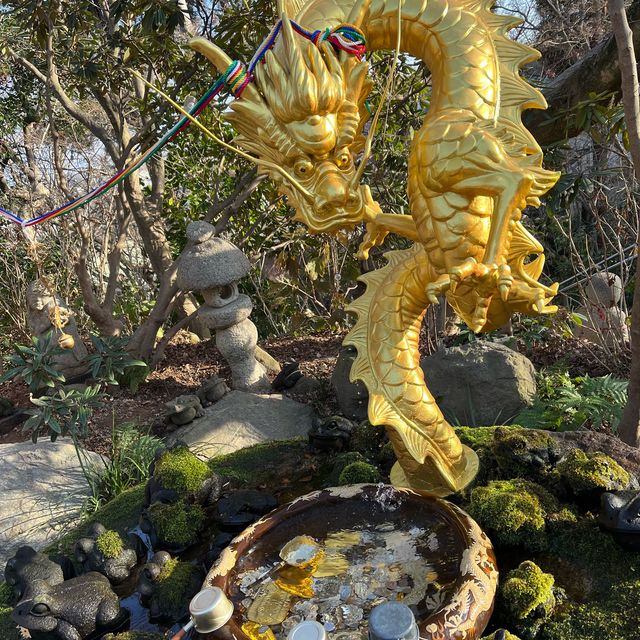 ~福岡 如意輪寺 かえる寺~夏の風物詩🎐