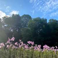 Botanic Garden Is A Real Life Fairytale