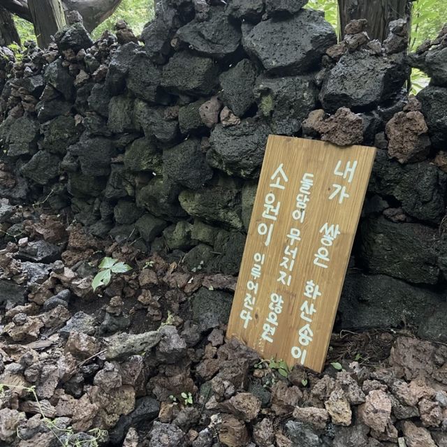 제주 푸릇한 숲에서 감성여행하기 🌳 안돌오름 비밀의숲