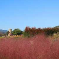 Cheomseongdae Astronomical Observatory