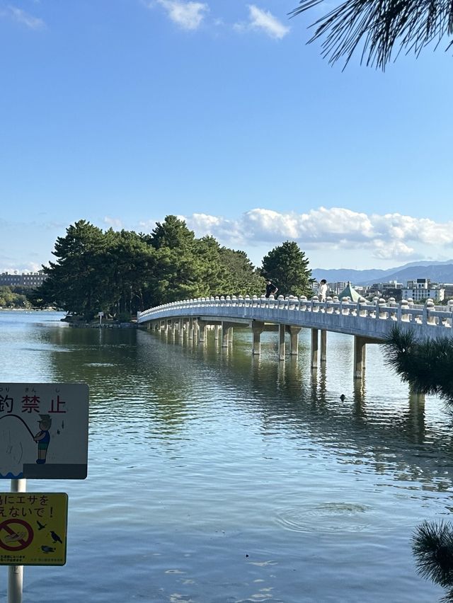 후쿠오카 필수 여행코스, 오호리공원 🐤