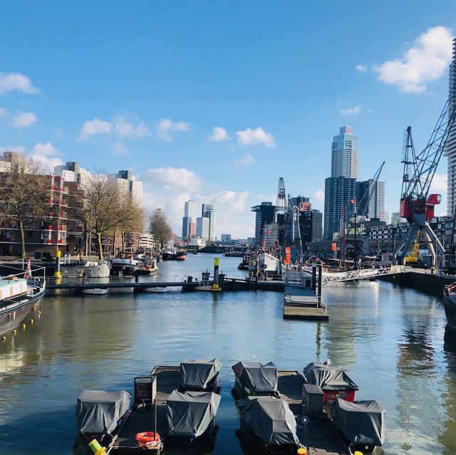 荷蘭🇳🇱鹿特丹Rotterdam 🏋️‍♀️🤸🏻具有故事意義歷史文化的雕像📌 The Destroyed City