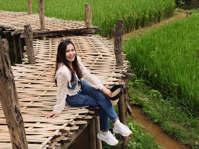 สักการะพระเจ้าต๋นหลวงกลางทุ่งนา @วัดนาคูหา จ.แพร่
