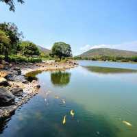 廸欣湖：湖畔🏞️+野餐🧺，天然寧靜中享受美食和放鬆😌🍽️！