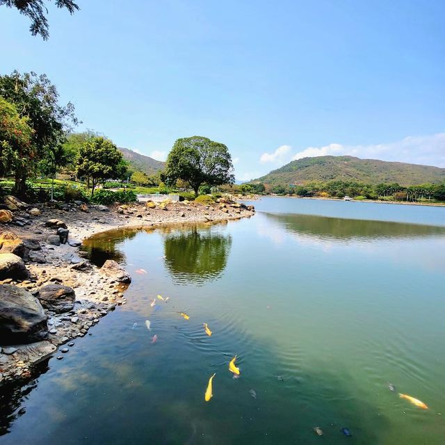 廸欣湖：湖畔🏞️+野餐🧺，天然寧靜中享受美食和放鬆😌🍽️！