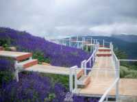 ยิ่งยงสวนดอกไม้ ม่อนแจ่ม เชียงใหม่