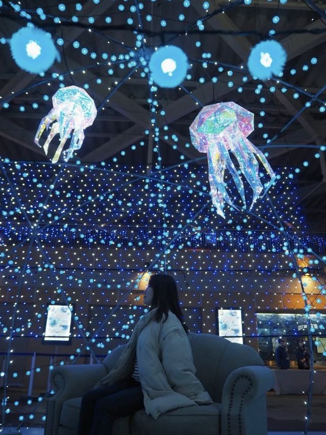 【神奈川(江ノ島)】輝きに包まれるJewel (宝石)✖️Aquarium (水族館)