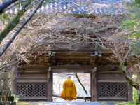 【高知市】四国霊場第31番札所🙏