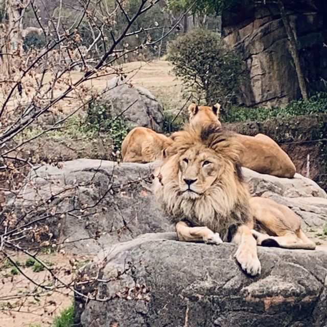 【大阪】駅から直ぐ　“天王寺動物園”