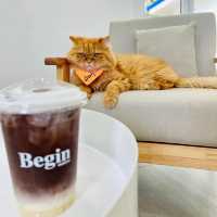 พาน้องๆ หนีแมวไปที่  "Begin Station coffee eatery"