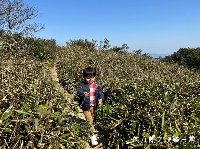 【 新年行大運 】誰說香港不美?大地在我腳下 【 新年行大運 】誰說香港不美?大地在我腳下