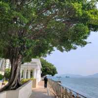 日落夜色之下，格外浪漫吸引