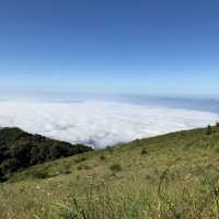 ดอยอินทนนท์⛰️🍃
