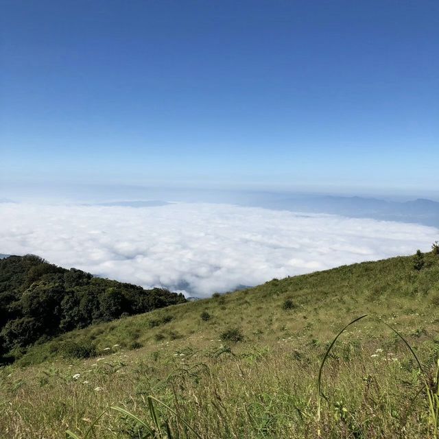 ดอยอินทนนท์⛰️🍃