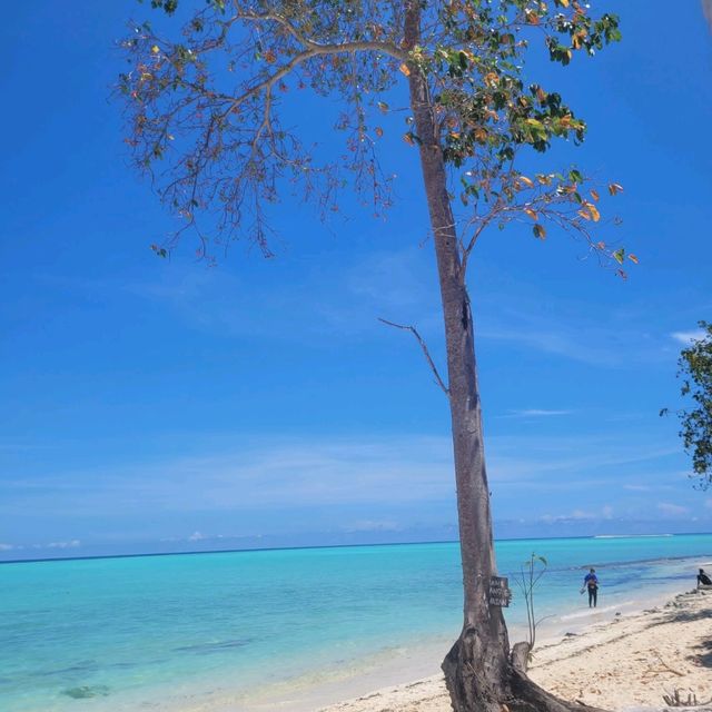 CRYSTAL CLEAR WATER AT MATAKING