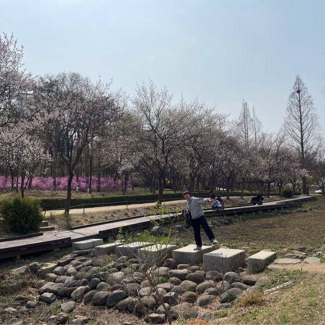 봄꽃 가득한 물향기 수목원🌿