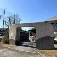 彥根市區和彥根本町趴趴走