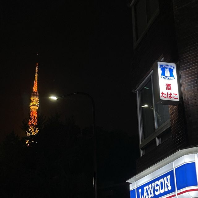 숨은 도쿄타워 관람 명소🗼