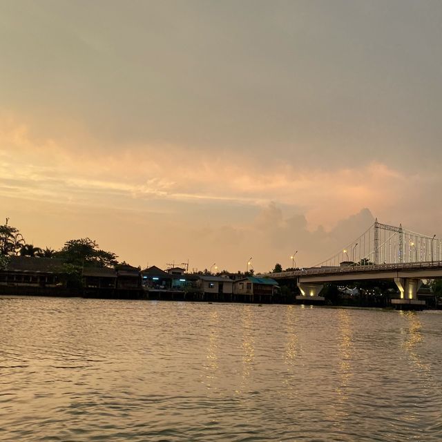 ล่องเรือ ชมหิ่งห้อยแม่น้ำตาปี ยามเย็น