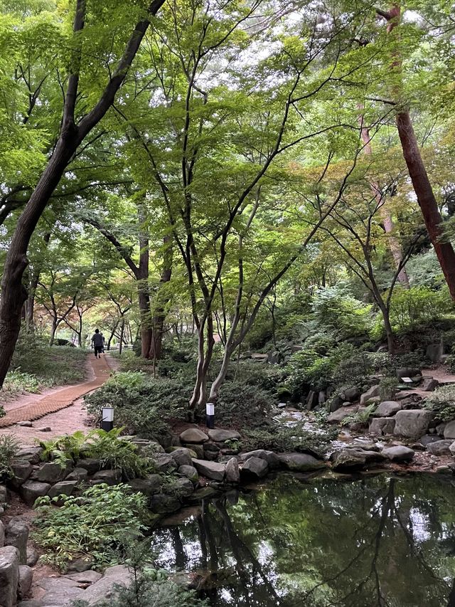 특별한 서울여행 가족들과 함께 즐길 수 있는 ‘청와대’