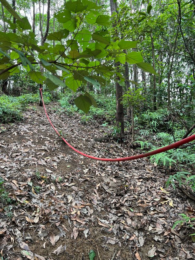 The fastest way to reach one of the top 3 sharpest peaks in Hong Kong