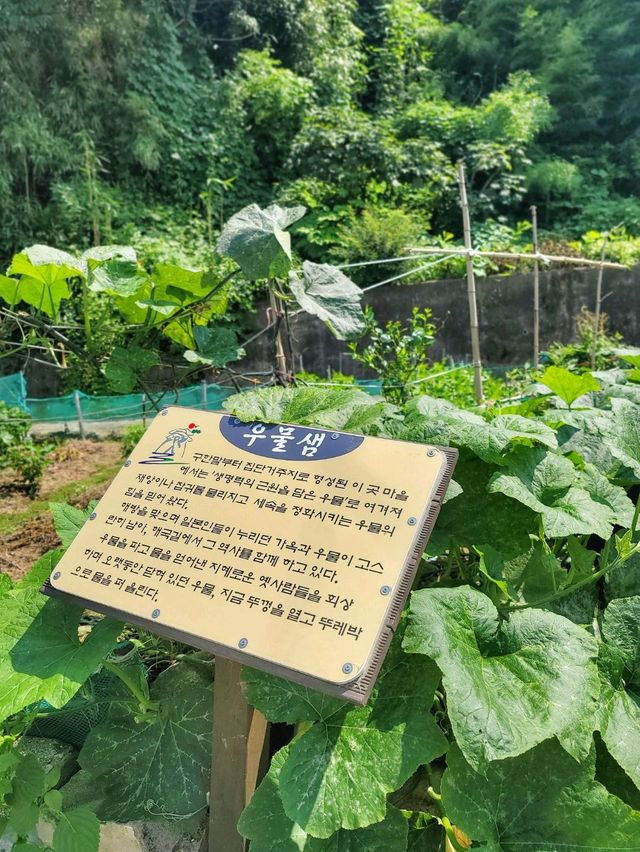 경주의 또다른 여행지 감포 나들이✨️