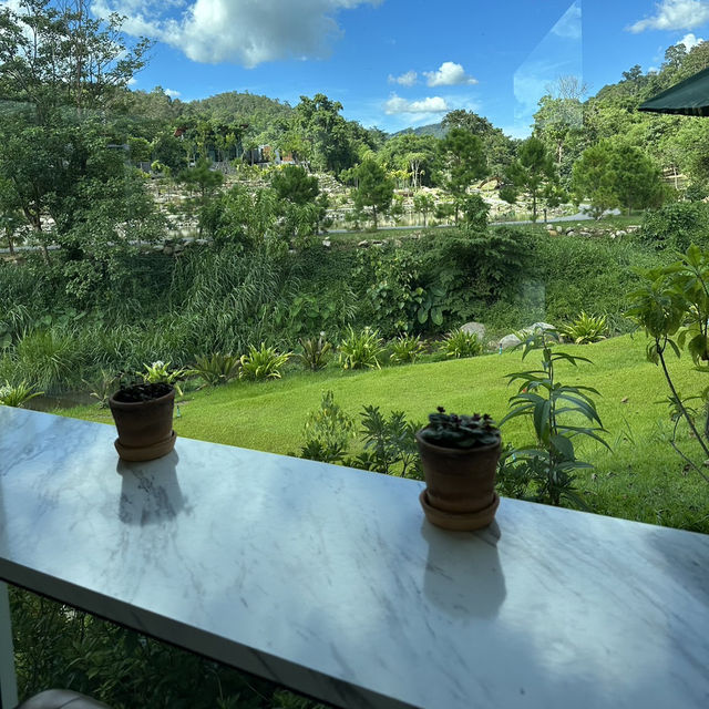 Ark Coffee Ark Coffee Chiang Mai 🍵🌱☕️
