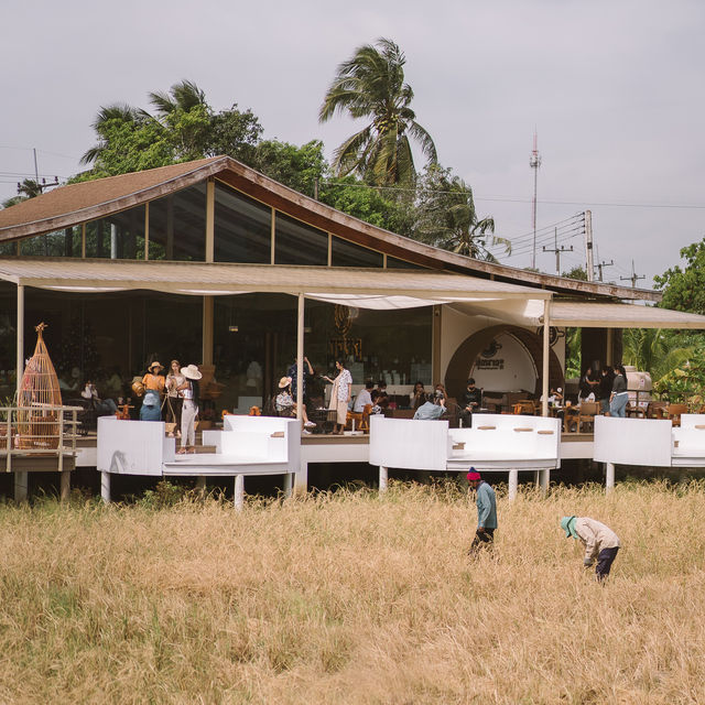ยุ้งฉาง คาเฟ่ - yoong chang cafe 