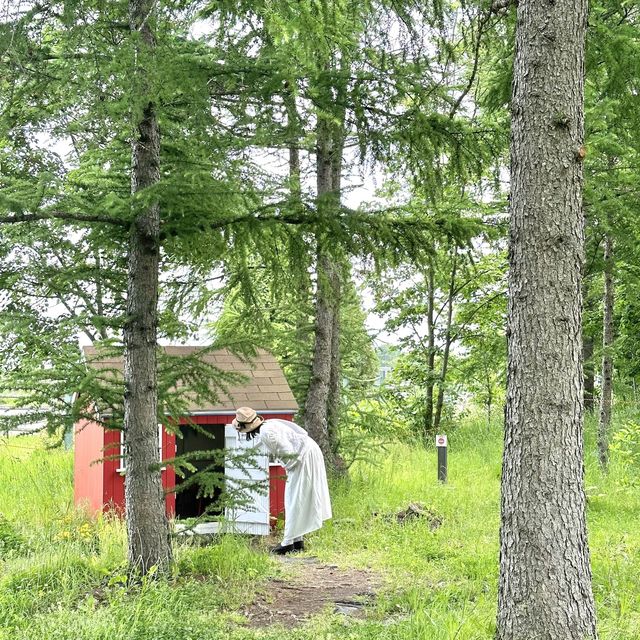 北海道観光＊初夏のえこりん村