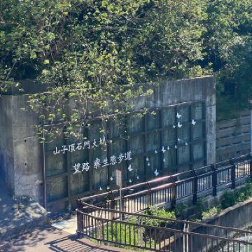 왕루랴오 생태 트레일🦋