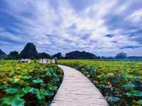 Serene Hikes and Tranquil Nights: Ninh Binh