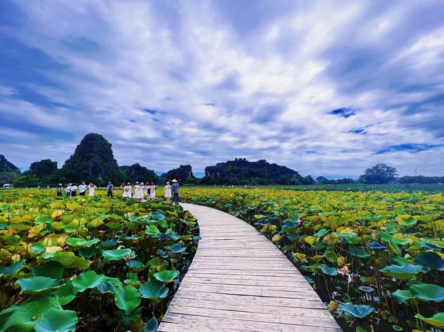 Serene Hikes and Tranquil Nights: Ninh Binh