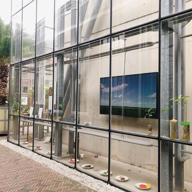 荷蘭萊頓🇳🇱🎍🪴萊頓植物園📚🗂️萊頓大學
