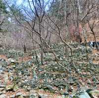 강릉 [노추산 모정탑길]에 단풍 한스푼🍁