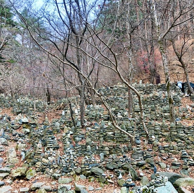 강릉 [노추산 모정탑길]에 단풍 한스푼🍁