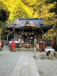 【神奈川県/八雲神社】鎌倉の厄除さん